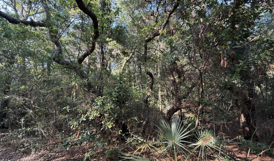 53 Fort Holmes Trl Lot 712, Bald Head Island, NC 28461 - 0 Beds, 0 Bath