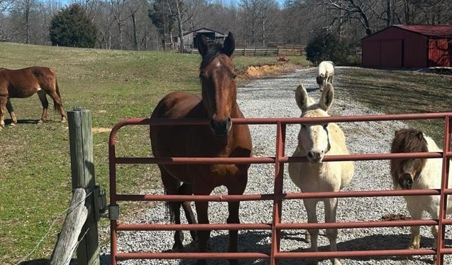 1486 Cedar Grove Rd, Big Sandy, TN 38221 - 0 Beds, 0 Bath