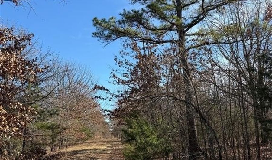 Tract 1 Rural Atoka, Atoka, OK 74525 - 0 Beds, 0 Bath