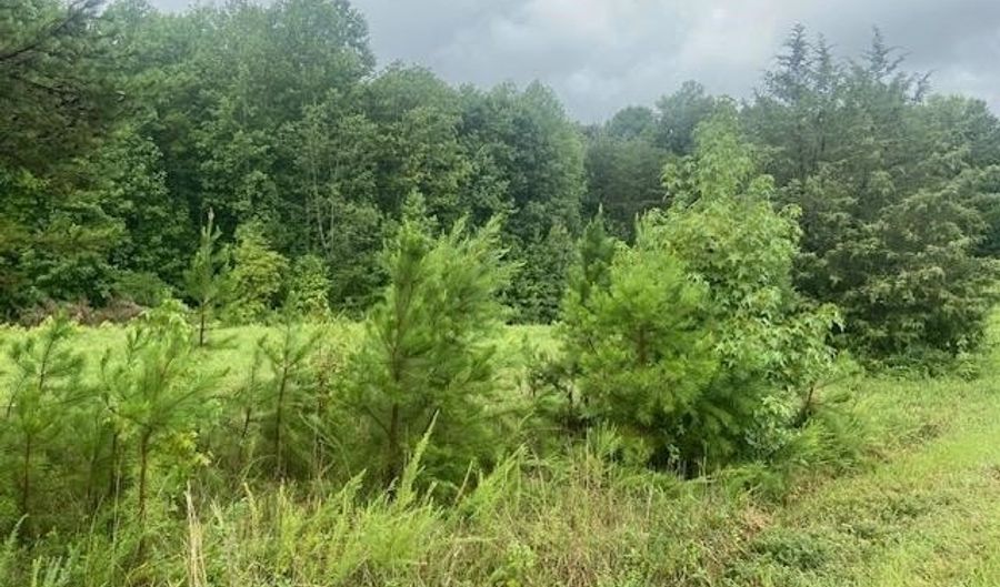 640 Leagan Dr, Blacksburg, SC 29702 - 0 Beds, 0 Bath