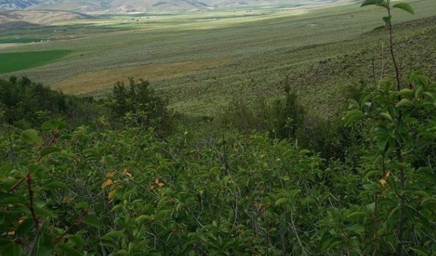 120 N WY STATLE LINE 89, Cokeville, WY 83114 - 0 Beds, 0 Bath
