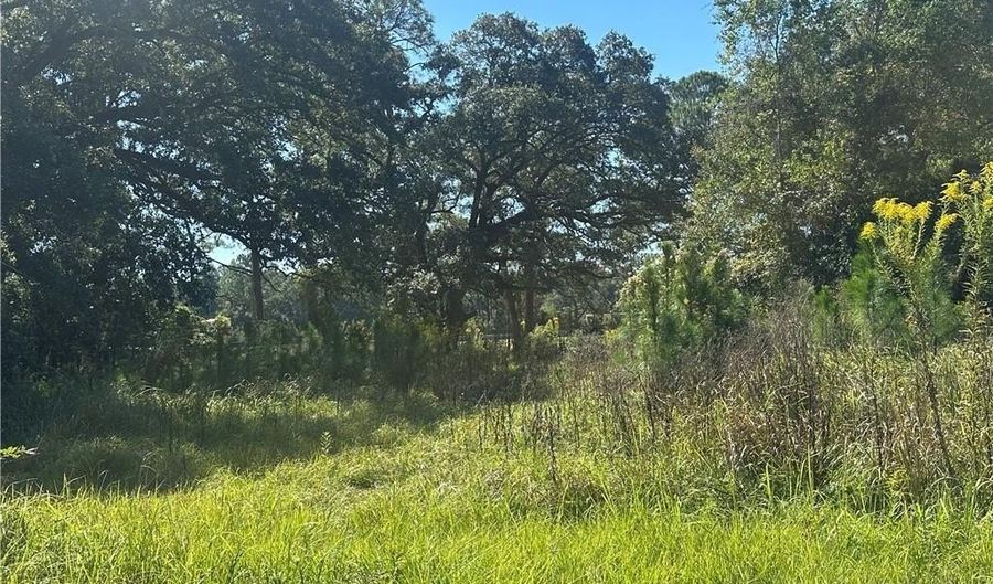 8916 Alba St W, Bayou La Batre, AL 36509 - 0 Beds, 0 Bath