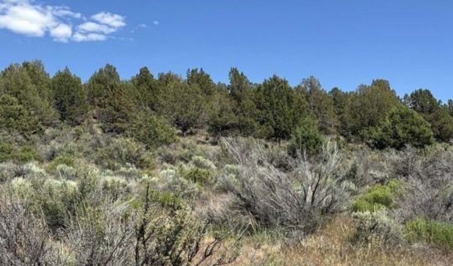 Medicine Mountain Drive, Beatty, OR 97621 - 0 Beds, 0 Bath