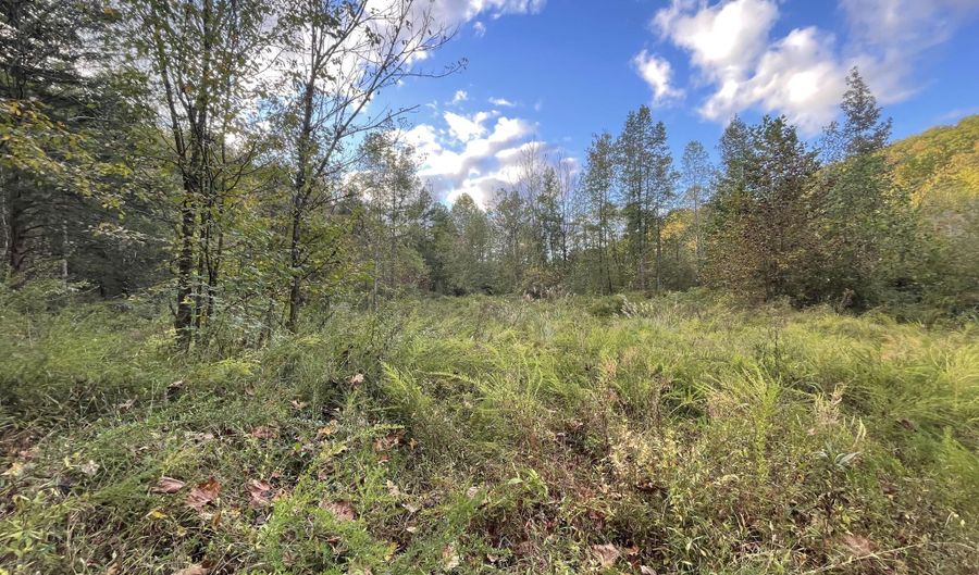 9999 Hooker Branch Rd, Barbourville, KY 40906 - 0 Beds, 0 Bath