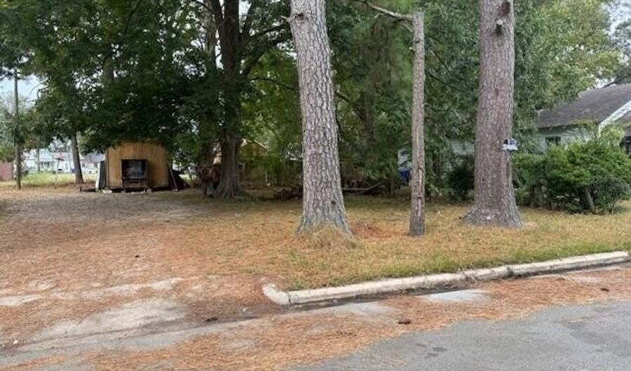511 E 1st St, Ahoskie, NC 27910 - 3 Beds, 1 Bath