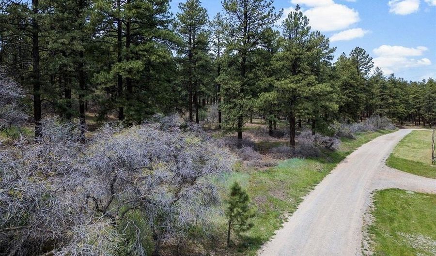 135 Meadow Ln, Bayfield, CO 81122 - 0 Beds, 0 Bath