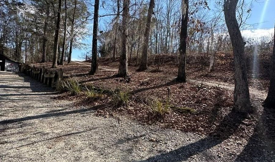 2422 County Road 97, Abbeville, AL 36310 - 3 Beds, 2 Bath