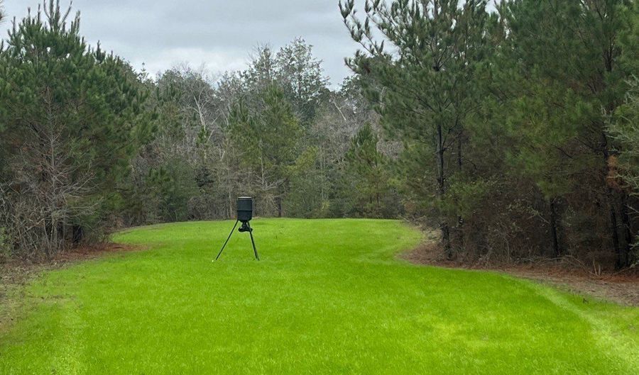 Wilburn Taylor Road, Buckatunna, MS 39322 - 0 Beds, 0 Bath