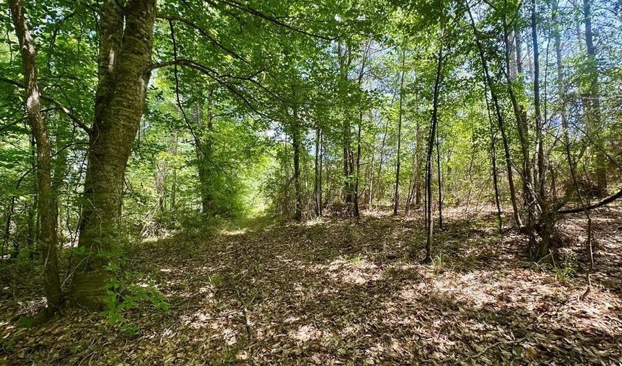 2316 Traci Loop, Bogue Chitto, MS 39629 - 0 Beds, 0 Bath