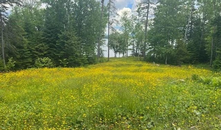 Herr Trail lot 19, Adamstown Twp., ME 04970 - 0 Beds, 0 Bath