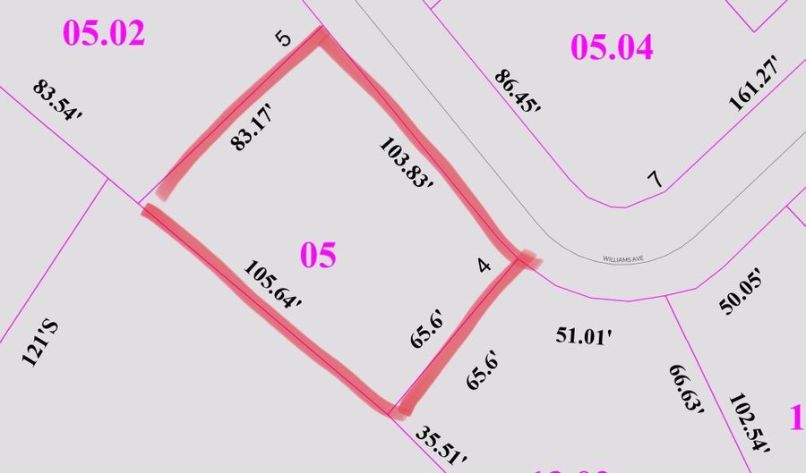 218 WILLIAMS Ave, Frederica, DE 19946 - 0 Beds, 0 Bath