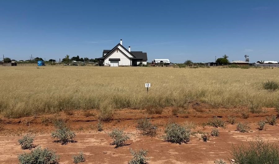 1007 SE 1620, Andrews, TX 79714 - 0 Beds, 0 Bath
