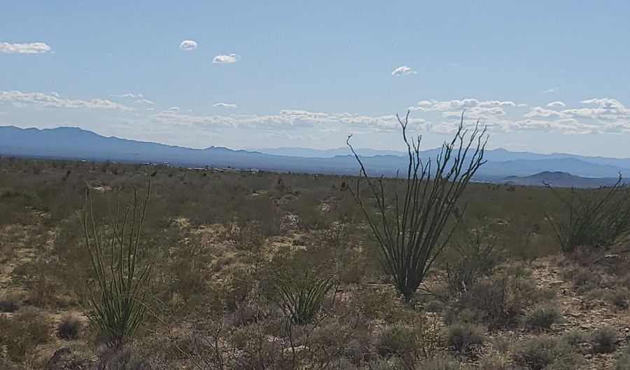 Lot 12 S Roll Rd, Yucca, AZ 86438 - 0 Beds, 0 Bath