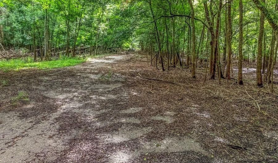 17 Th St, Bell, FL 32619 - 0 Beds, 0 Bath