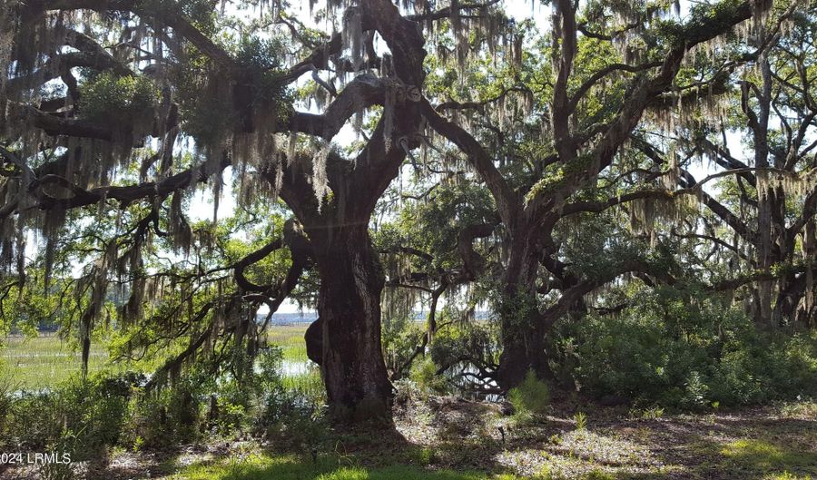 1 Bennett Point Dr A, Beaufort, SC 29907 - 1 Beds, 1 Bath
