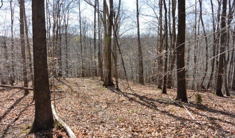 Trinity Lane lot 4, Allons, TN 38541 - 0 Beds, 0 Bath