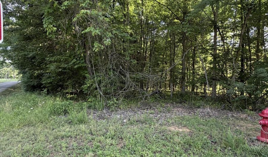 Cove lot 1023, Baneberry, TN 37890 - 0 Beds, 0 Bath