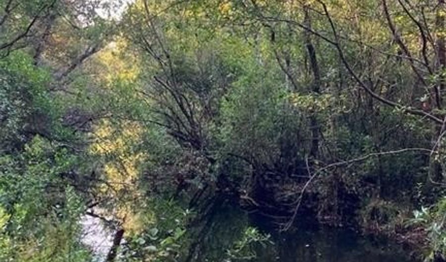 43807 State Highway 225 Hwy, Bay Minette, AL 36507 - 0 Beds, 0 Bath