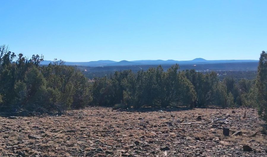 0202 County Rd, Concho, AZ 85924 - 0 Beds, 0 Bath