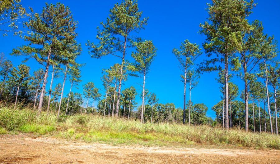 510 Rabbit Pen Dr, Appling, GA 30802 - 0 Beds, 0 Bath