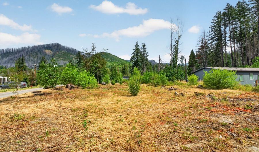 51790 Echo St, Blue River, OR 97413 - 0 Beds, 0 Bath
