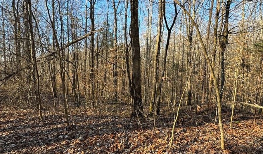 Lot 2-4 Stone Cliff Subdivision, Albany, KY 42602 - 0 Beds, 0 Bath