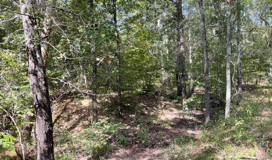 Lot 6-9 Highway 2, Antlers, OK 74523 - 0 Beds, 0 Bath