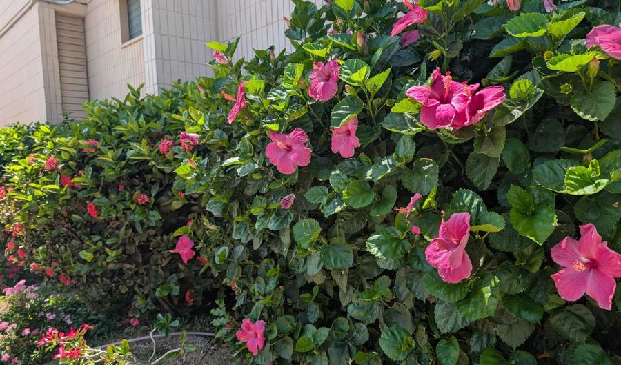800 S Kihei Rd 504, Kihei, HI 96753 - 2 Beds, 2 Bath