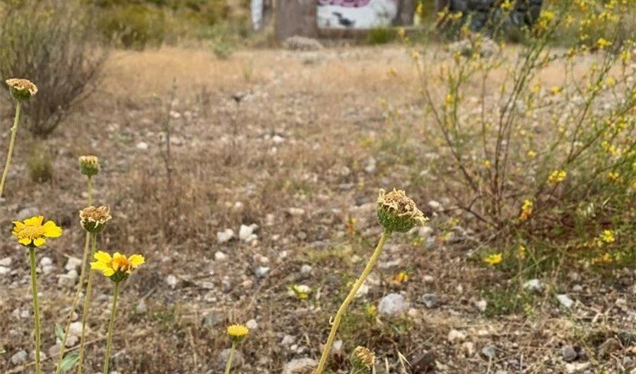 0 Lot 82 In Sw 1/4 Of Lot/Sec 5 Blk/Div/Twn 4N Reg/R, Agua Dulce, CA 91390 - 0 Beds, 0 Bath