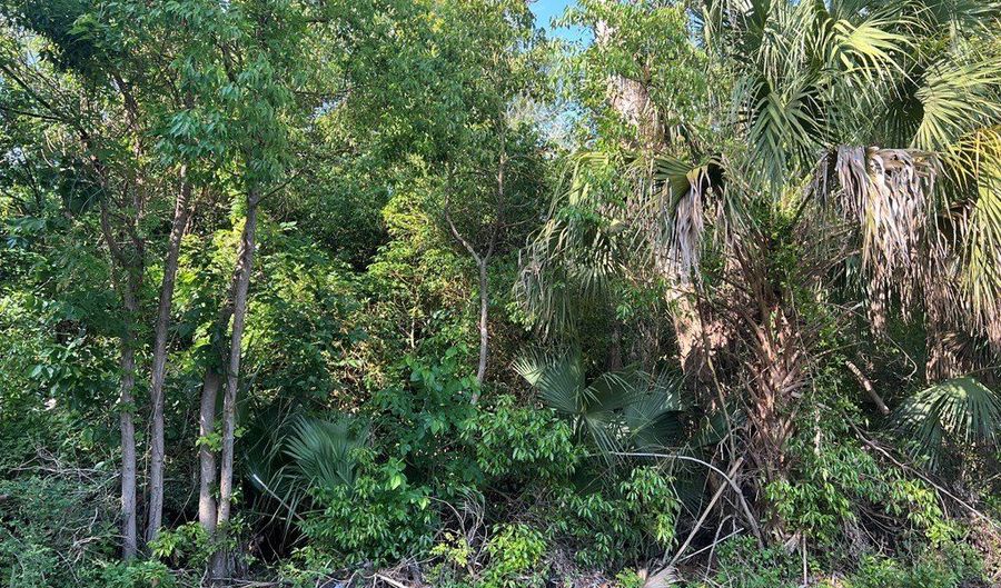 235 11th St, Apalachicola, FL 32320 - 0 Beds, 0 Bath