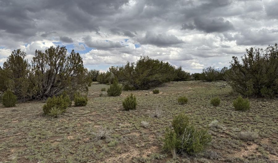 214 CR 8051, Concho, AZ 85924 - 0 Beds, 0 Bath