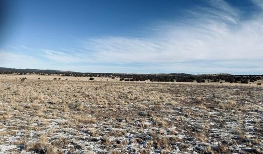 98- C Ten Tanks Rd, Ash Fork, AZ 86320 - 0 Beds, 0 Bath