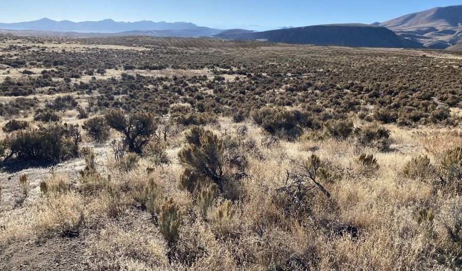 Ryndon, Elko, NV 89801 - 0 Beds, 0 Bath