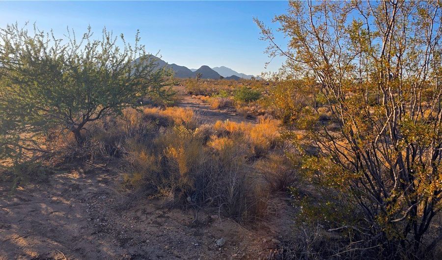 6 E Allison Dr, Yucca, AZ 86438 - 0 Beds, 0 Bath