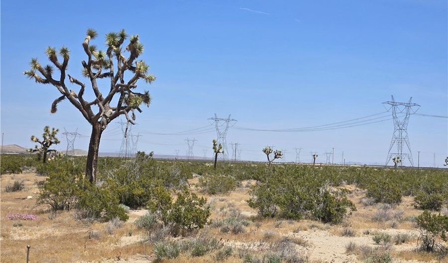 10 Beaver Avenue Acres, Adelanto, CA 92301 - 0 Beds, 0 Bath