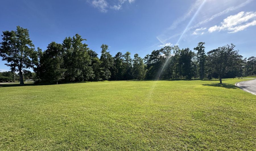 98 Carolina Way Lot 77, Arapahoe, NC 28510 - 0 Beds, 0 Bath