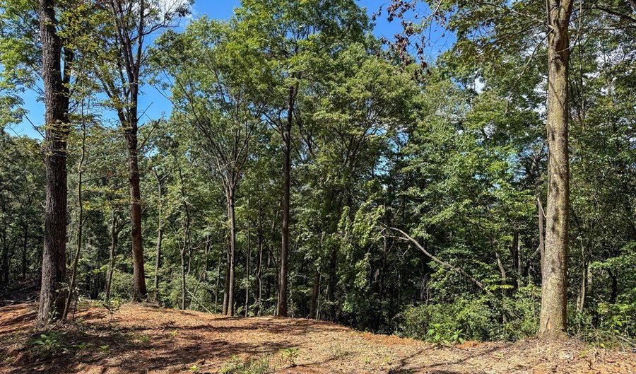 3 Black Rock Trl 3, Andrews, NC 28901 - 0 Beds, 0 Bath