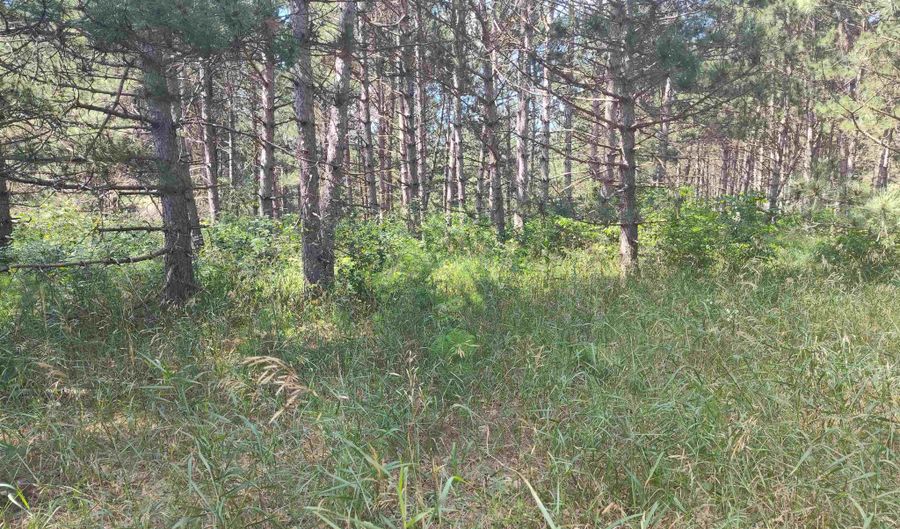 Lot 113 Beaver Lane, Arkdale, WI 54613 - 0 Beds, 0 Bath