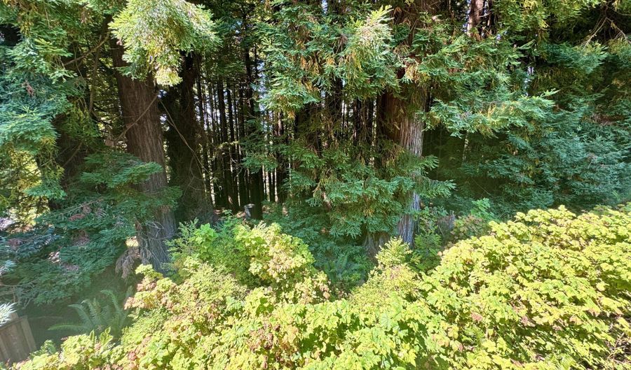 789 Patrick Ct, Arcata, CA 95521 - 3 Beds, 2 Bath