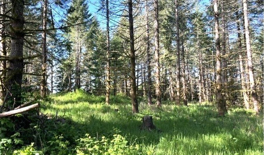 NW Lodge Rd, Banks, OR 97106 - 0 Beds, 0 Bath