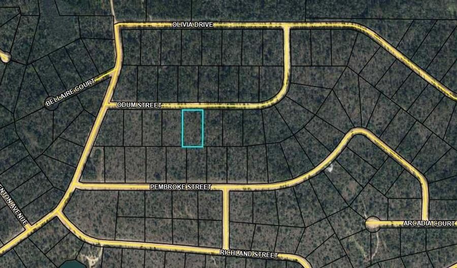 Odum Street lot 29, Alford, FL 32420 - 0 Beds, 0 Bath
