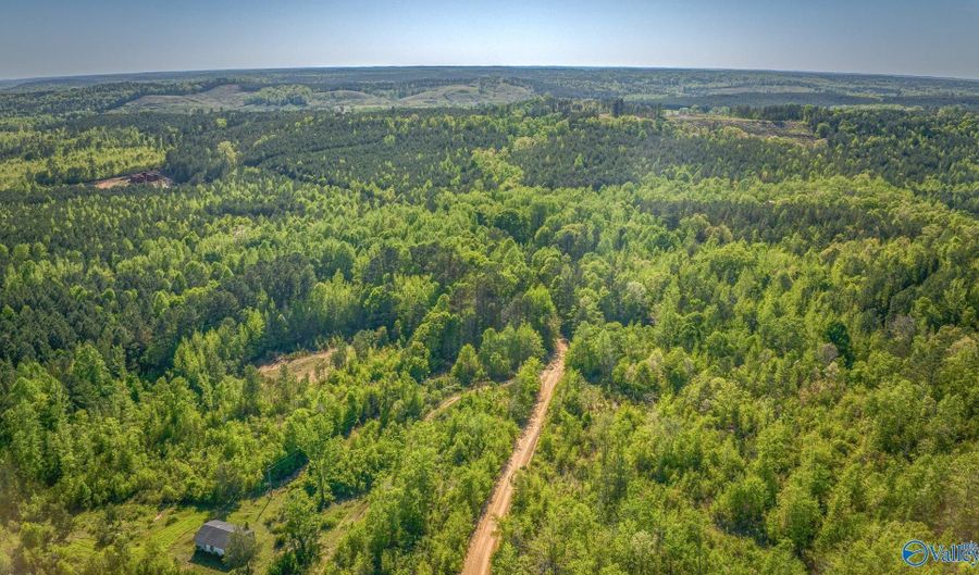 87 Acres Kay Hollis Rd, Beaverton, AL 35544 - 0 Beds, 0 Bath