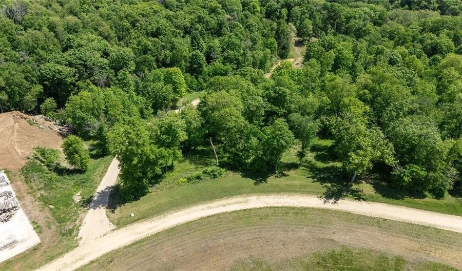 915226002 Parcel Lot 4 Wapsi Rdg, Anamosa, IA 52205 - 0 Beds, 0 Bath