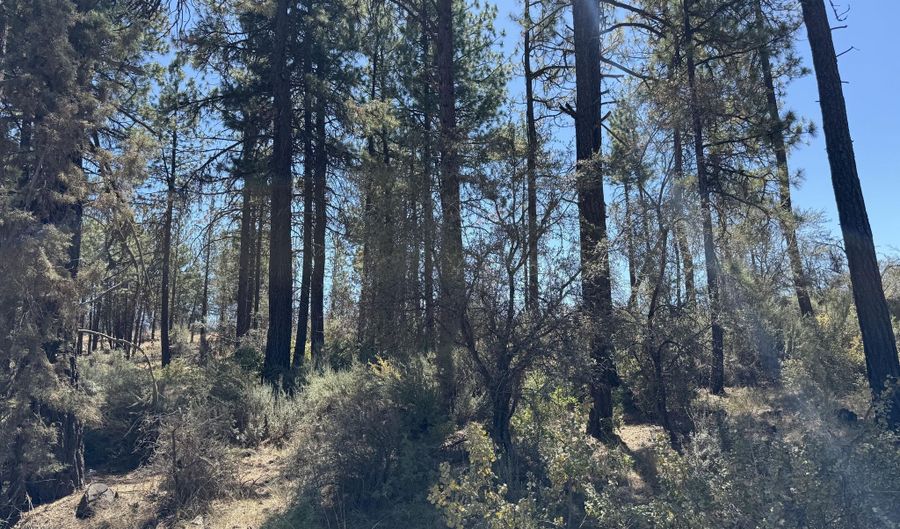 0 Jaguar Ln Lot 4, Bonanza, OR 97623 - 0 Beds, 0 Bath