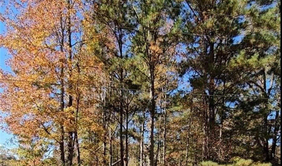 Lot 6 LINCOLN HEIGHTS STREET, Alexander City, AL 35010 - 0 Beds, 0 Bath