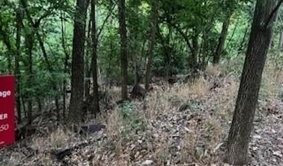 Vinita Circle, Monkey Island, OK 74331 - 0 Beds, 0 Bath