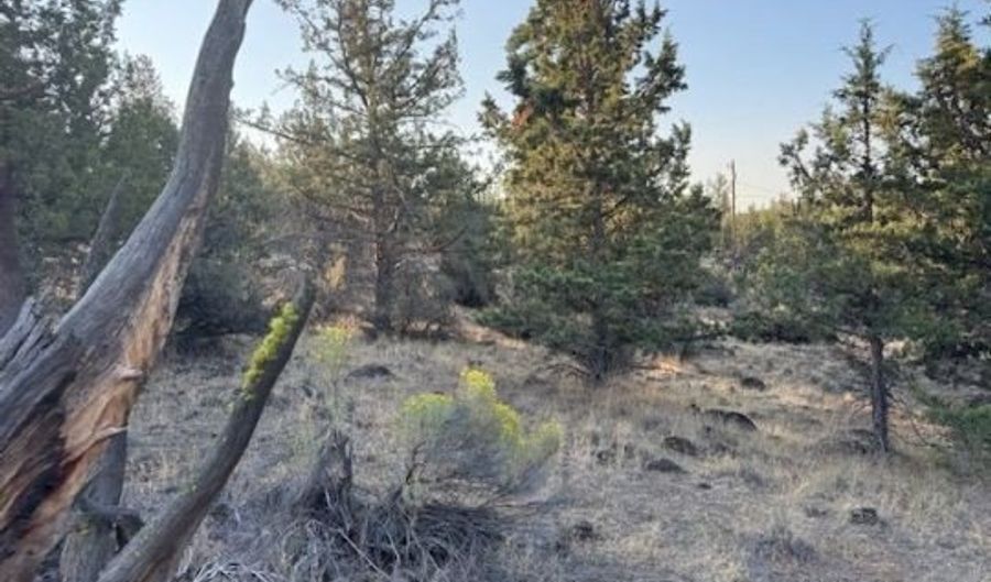 Brant Drive, Bonanza, OR 97623 - 0 Beds, 0 Bath