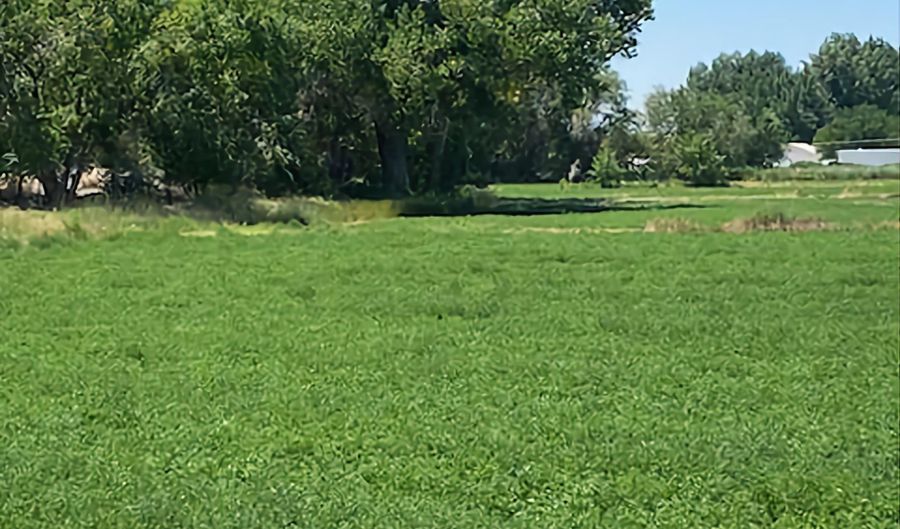 900 Calkin / Rice Rd, Fallon, NV 89406 - 0 Beds, 0 Bath