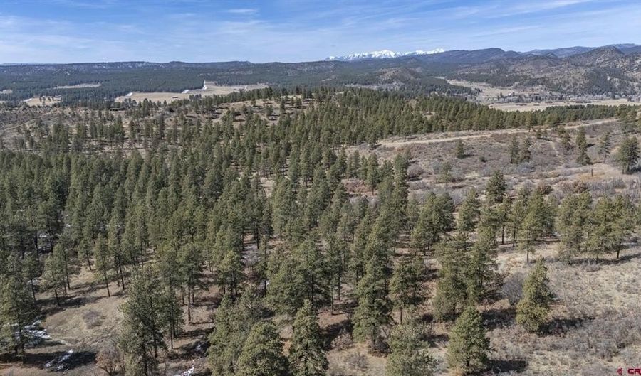 TBD Lot 8 Beaver Creek Ranch Drive, Bayfield, CO 81122 - 0 Beds, 0 Bath