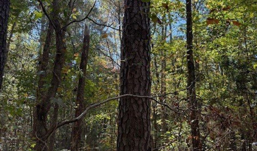 0 Owens Ave SW, Attalla, AL 35954 - 0 Beds, 0 Bath